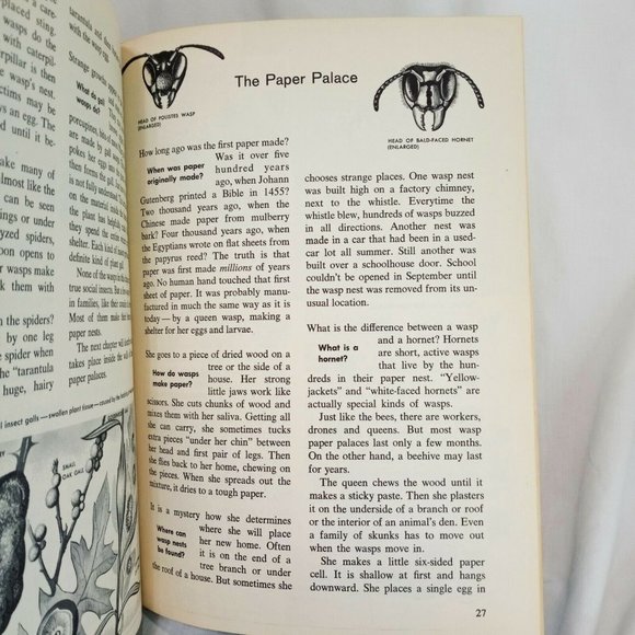 How and Why Ants and Bees Hardcover Book 1962 School Ex-Library Ronald N Rood - Picture 9 of 12